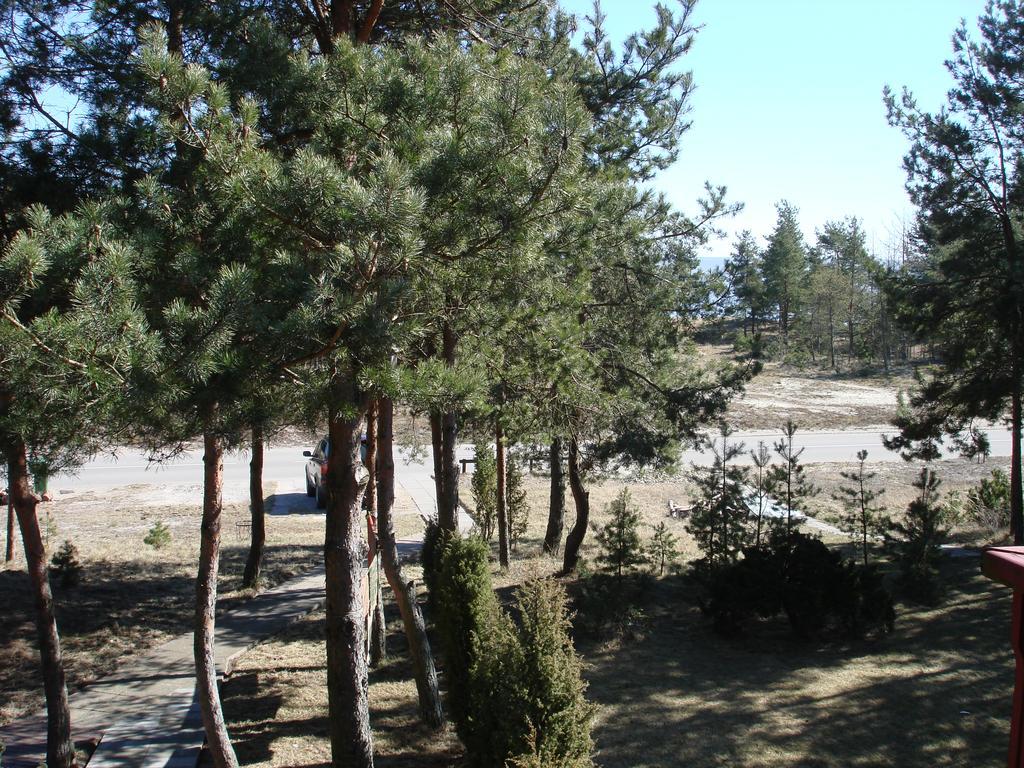 Guesthouse "Nakvyne Pas Zveja" Purvynes Street Nida Esterno foto